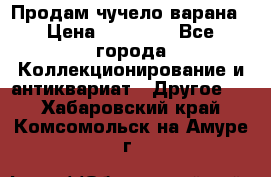 Продам чучело варана › Цена ­ 15 000 - Все города Коллекционирование и антиквариат » Другое   . Хабаровский край,Комсомольск-на-Амуре г.